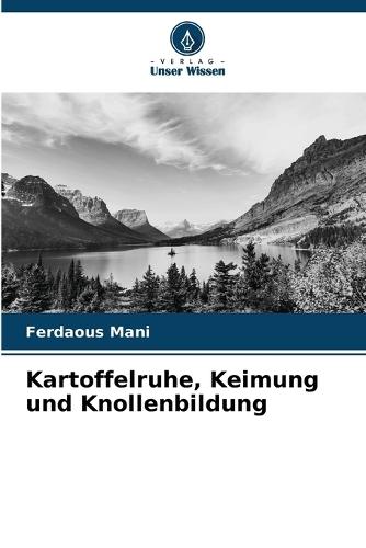 Kartoffelruhe, Keimung und Knollenbildung