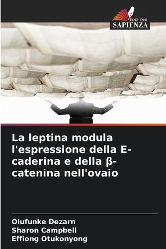 La leptina modula l'espressione della E-caderina e della β-catenina nell'ovaio