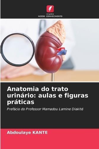 Anatomia do trato urinário: aulas e figuras práticas
