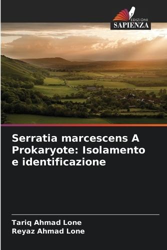 Serratia marcescens A Prokaryote: Isolamento e identificazione