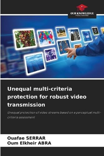 Unequal multi-criteria protection for robust video transmission