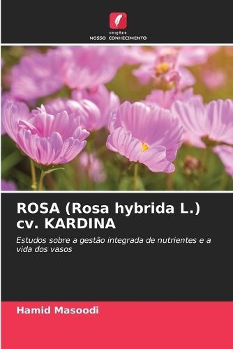 ROSA (Rosa hybrida L.) cv. KARDINA