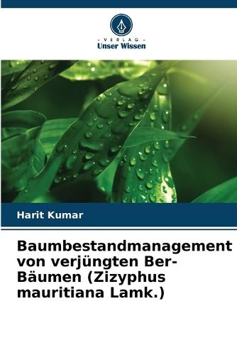 Baumbestandmanagement von verjüngten Ber-Bäumen (Zizyphus mauritiana Lamk.)
