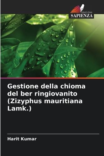 Gestione della chioma del ber ringiovanito (Zizyphus mauritiana Lamk.)