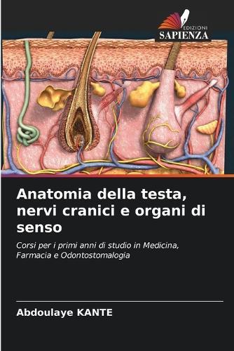 Anatomia della testa, nervi cranici e organi di senso