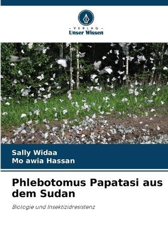 Phlebotomus Papatasi aus dem Sudan