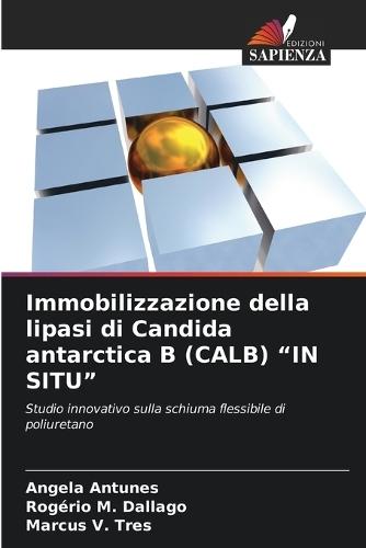 Immobilizzazione della lipasi di Candida antarctica B (CALB) ""IN SITU""