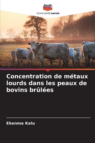 Concentration de métaux lourds dans les peaux de bovins brûlées