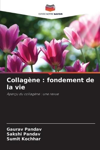 Collagène: fondement de la vie