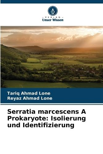 Serratia marcescens A Prokaryote: Isolierung und Identifizierung