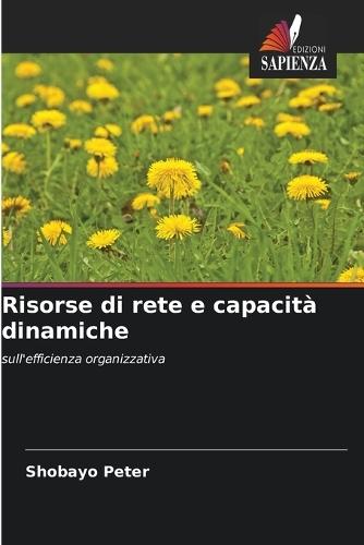 Risorse di rete e capacità dinamiche