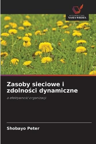 Zasoby sieciowe i zdolności dynamiczne