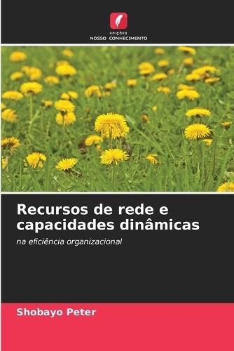 Recursos de rede e capacidades dinâmicas