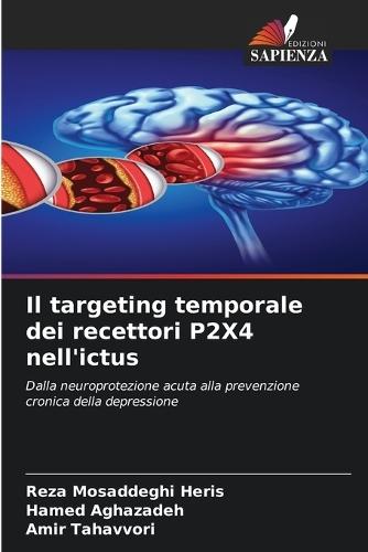Il targeting temporale dei recettori P2X4 nell'ictus