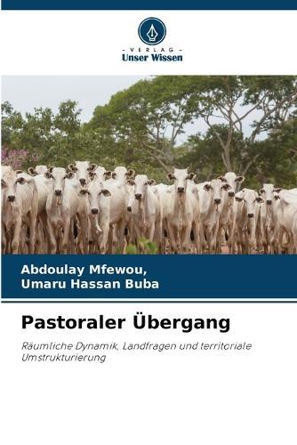 Pastoraler Übergang