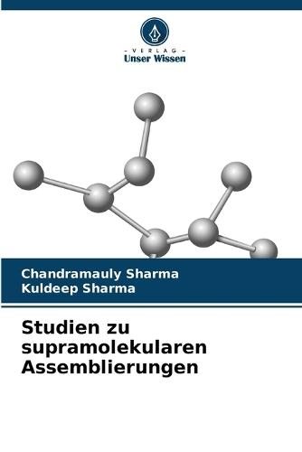 Studien zu supramolekularen Assemblierungen