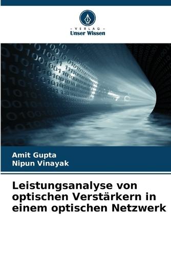 Leistungsanalyse von optischen Verstärkern in einem optischen Netzwerk