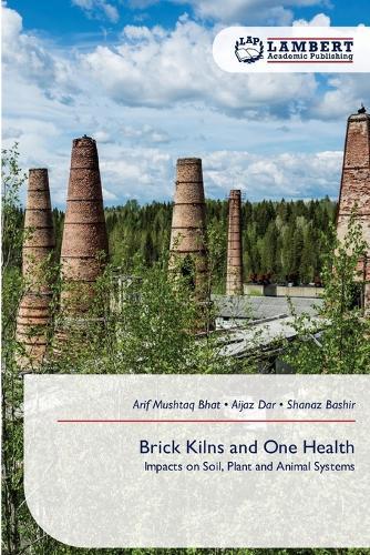 Brick Kilns and One Health