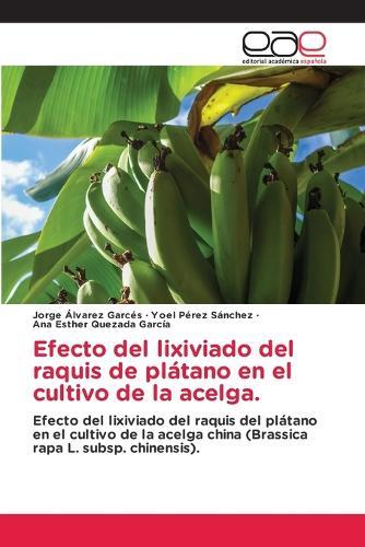 Efecto del lixiviado del raquis de plátano en el cultivo de la acelga.