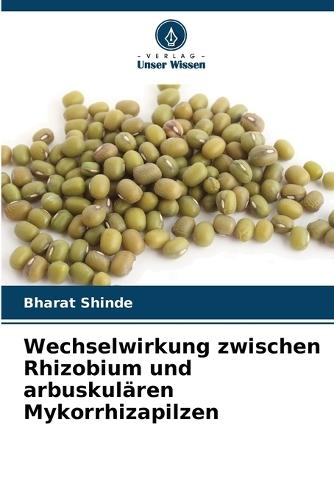 Wechselwirkung zwischen Rhizobium und arbuskulären Mykorrhizapilzen