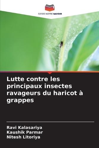 Lutte contre les principaux insectes ravageurs du haricot à grappes