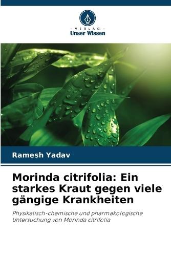 Morinda citrifolia: Ein starkes Kraut gegen viele gängige Krankheiten