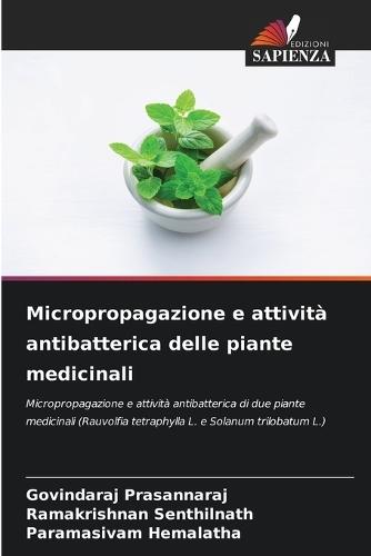 Micropropagazione e attività antibatterica delle piante medicinali