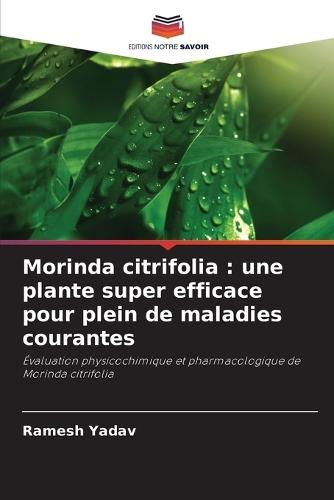 Morinda citrifolia: une plante super efficace pour plein de maladies courantes