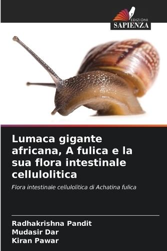Lumaca gigante africana, A fulica e la sua flora intestinale cellulolitica