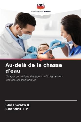 Au-delà de la chasse d'eau