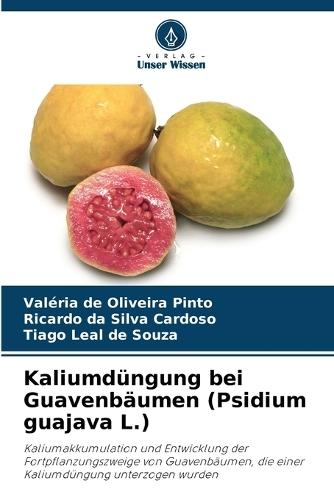 Kaliumdüngung bei Guavenbäumen (Psidium guajava L.)