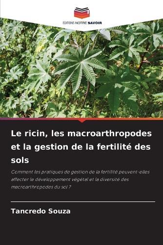 Le ricin, les macroarthropodes et la gestion de la fertilité des sols