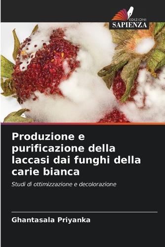 Produzione e purificazione della laccasi dai funghi della carie bianca