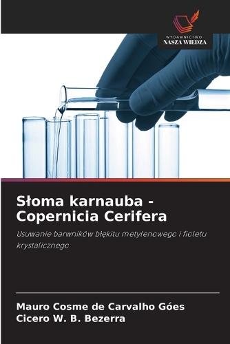 Sloma karnauba - Copernicia Cerifera