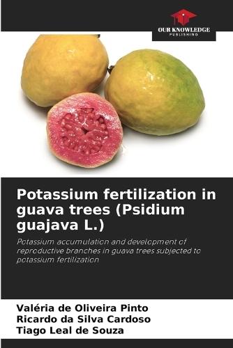 Potassium fertilization in guava trees (Psidium guajava L.)