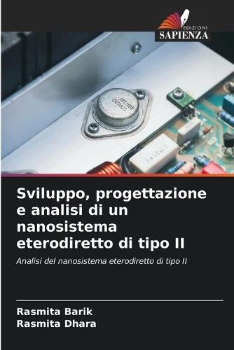 Sviluppo, progettazione e analisi di un nanosistema eterodiretto di tipo II