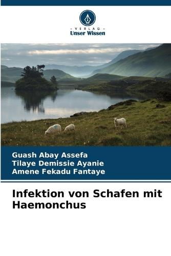 Infektion von Schafen mit Haemonchus