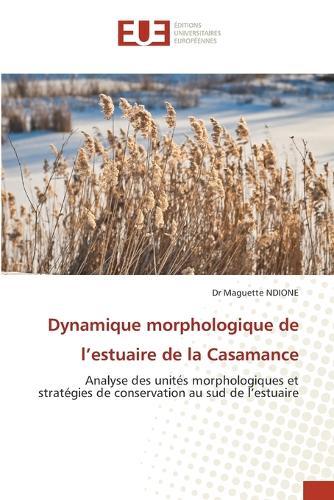 Dynamique morphologique de l'estuaire de la Casamance