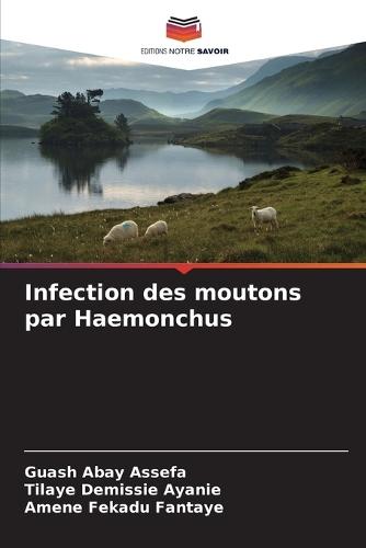 Infection des moutons par Haemonchus