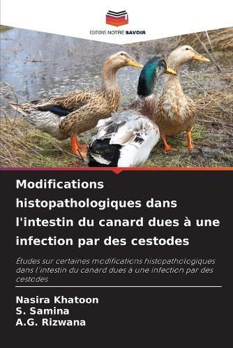 Modifications histopathologiques dans l'intestin du canard dues à une infection par des cestodes