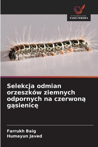 Selekcja odmian orzeszków ziemnych odpornych na czerwoną gąsienicę