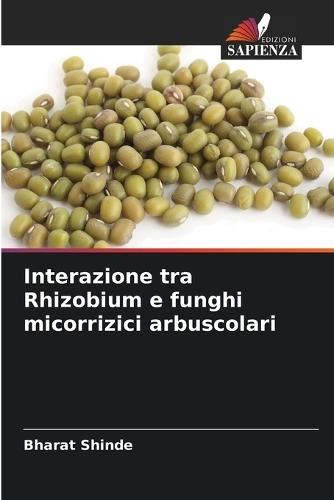 Interazione tra Rhizobium e funghi micorrizici arbuscolari