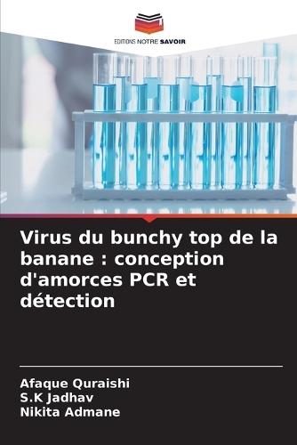 Virus du bunchy top de la banane: conception d'amorces PCR et détection