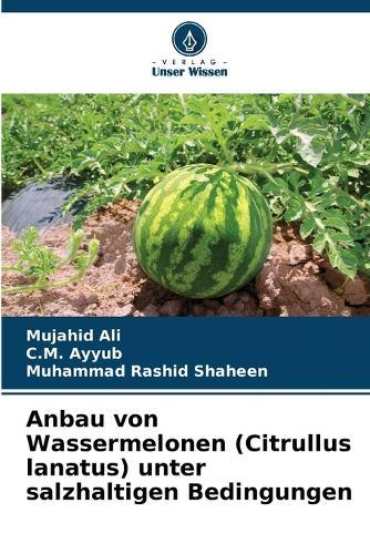 Anbau von Wassermelonen (Citrullus lanatus) unter salzhaltigen Bedingungen