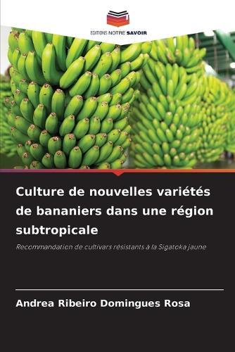 Culture de nouvelles variétés de bananiers dans une région subtropicale