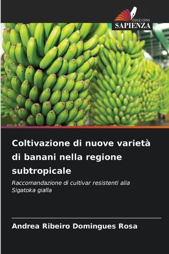 Coltivazione di nuove varietà di banani nella regione subtropicale