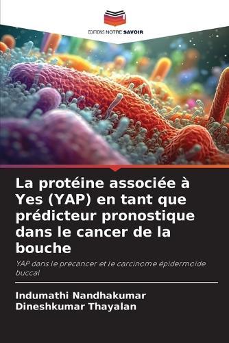La protéine associée à Yes (YAP) en tant que prédicteur pronostique dans le cancer de la bouche