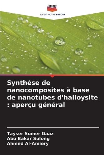 Synthèse de nanocomposites à base de nanotubes d'halloysite: aperçu général