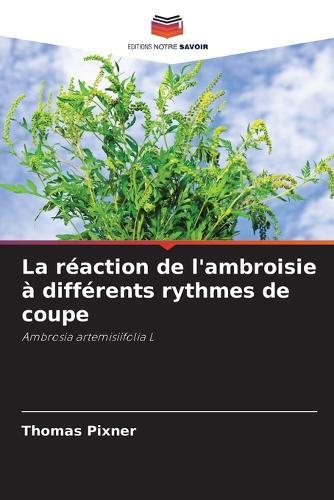 La réaction de l'ambroisie à différents rythmes de coupe