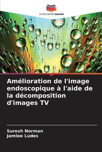 Amélioration de l'image endoscopique à l'aide de la décomposition d'images TV
